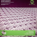 Dropzone ‎– Party Rocker / Locked & Loaded